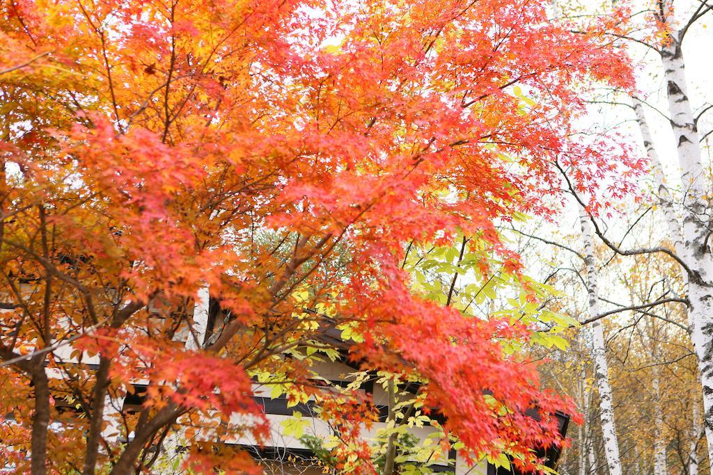 Konashi No Yu Sasaya Hotel มัตสึโมโตะ ภายนอก รูปภาพ